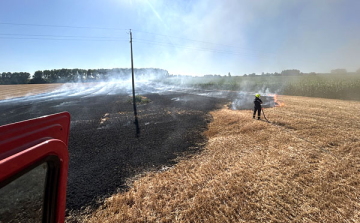  Szerdán is szabadtéri tüzekhez vonultak a tűzoltók