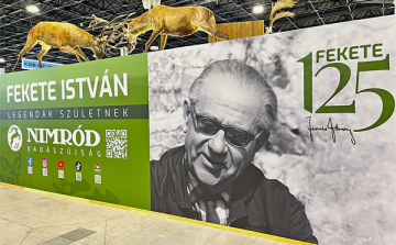 31. alkalommal rendezték meg a FEHOVA kiállítást és vásárt