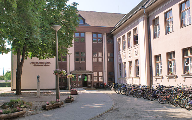 A József Attila Iskola híreiből