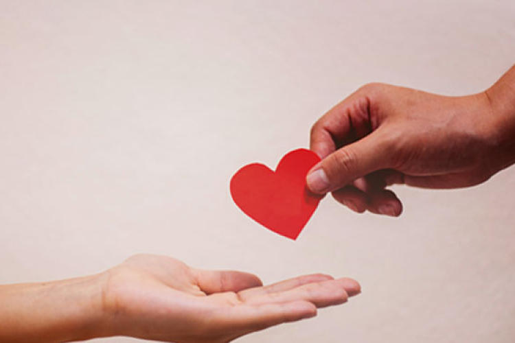 Nagy sikerrel rendezték meg az Arany Sziget Idősek Otthona jótékonysági bálját