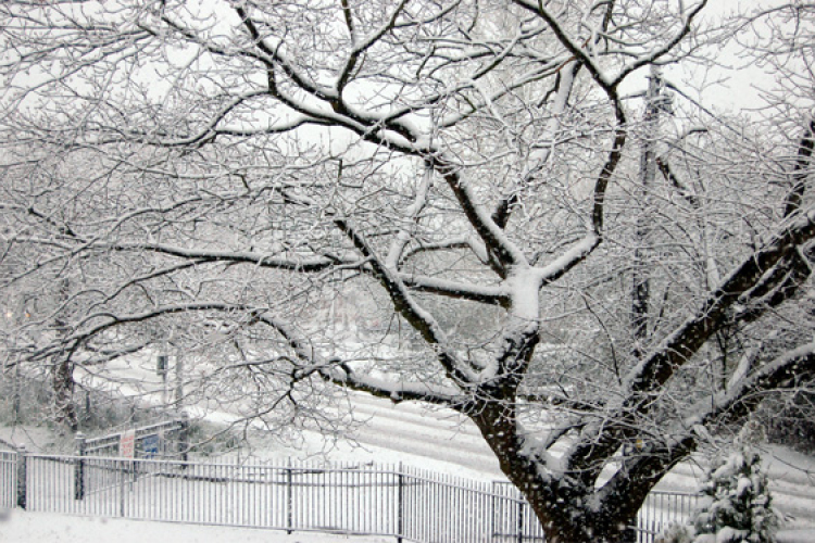 Vasárnap estétől egyre többfelé havazás váltja az esőt