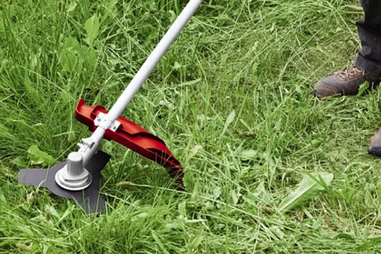 Legfeljebb 3 alkalommal elvégzi a kaszálást az önkormányzat a rászorulók ingatlana előtti közterületen