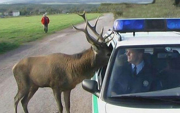 Jótett helyébe jót várj?