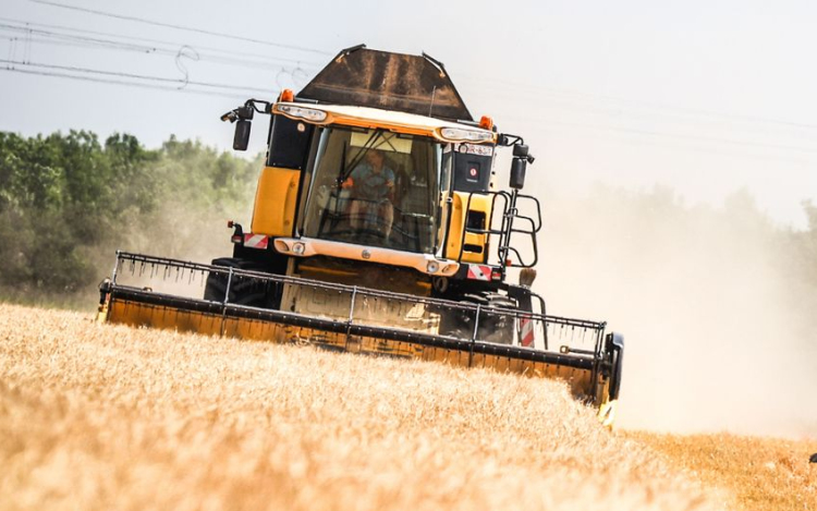 AM: befejeződött a nyári aratás, kedvezőek a hozamok
