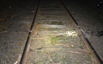 Vonatozók életét veszélyeztette, keresik