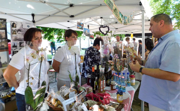 A Dombóvári kistérség is bemutatkozott a Tolna megyei Értékek Napján