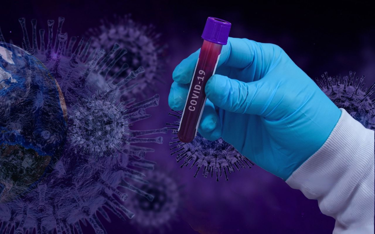 Ellenszérum előállításához keresnek koronavírusból gyógyult donorokat