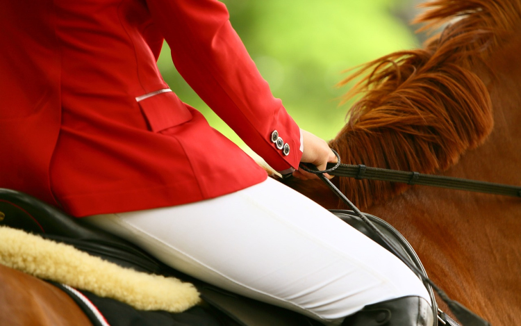 Öttusában kerékpározás válthatja a lovaglást