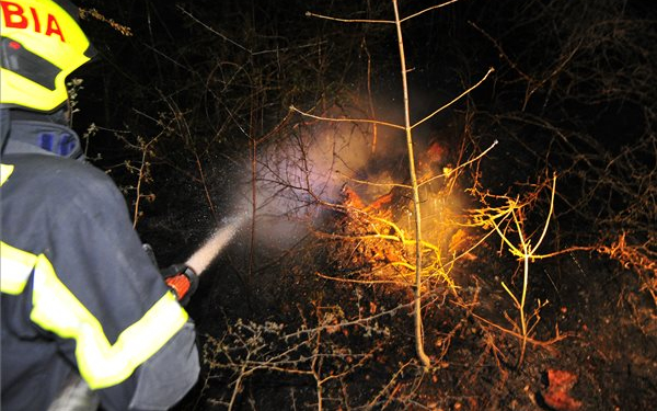 Eloltották az erdőtüzet Budaörsön